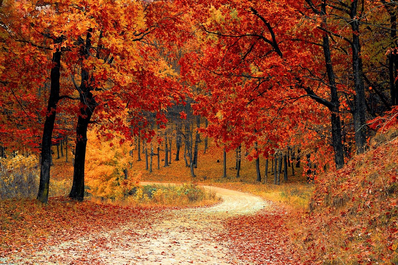 Frühstücksei Woche 41: Der Herbst ist da!