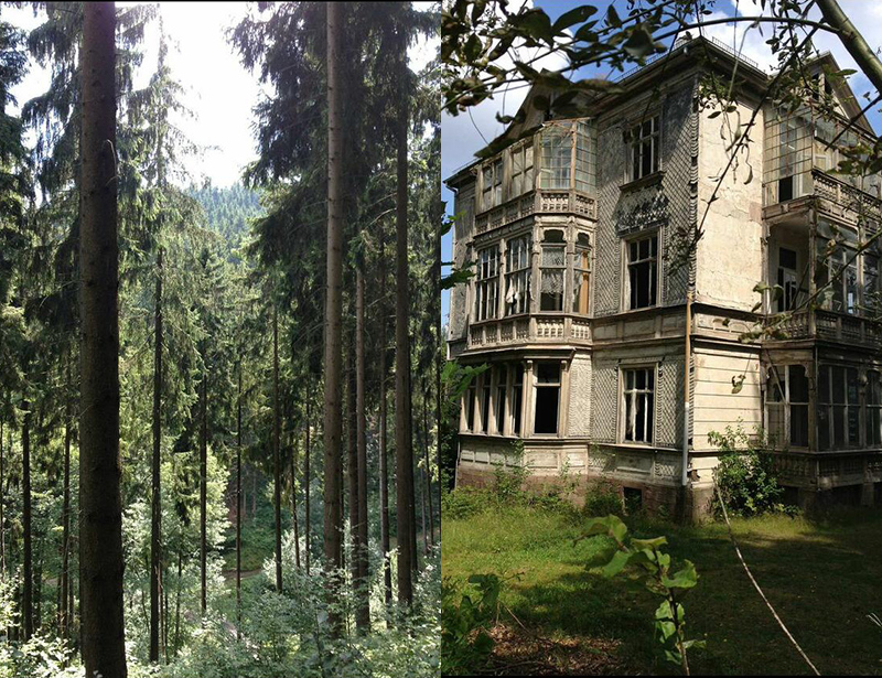 Rennsteig. Afb.: DIA/Marja Verburg