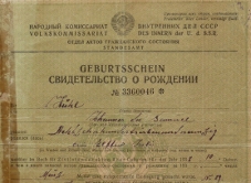 Tussen Duitsland en Rusland: De Wolga-Duitsers