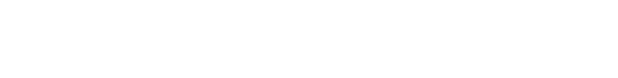 Duitslandinstituut