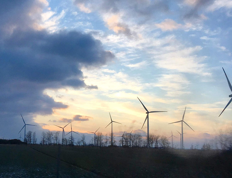 Call for papers 'Green Germany?'