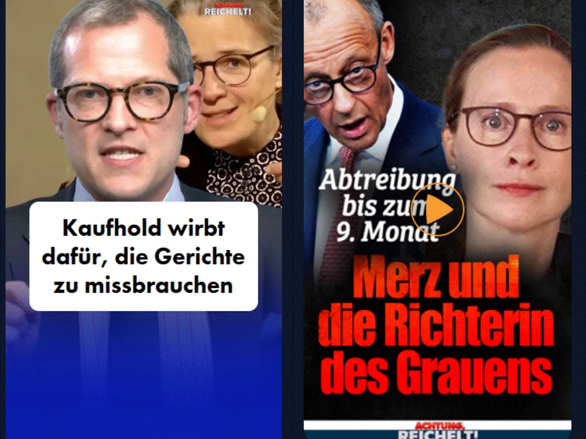 <p>Screenshotcollage Nius.de</p>