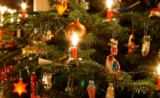 Tv- en webtips voor de kerstvakantie