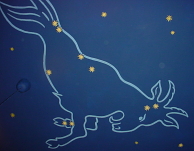 Een sterrenbeeld op het plafond Afbeelding: DIA